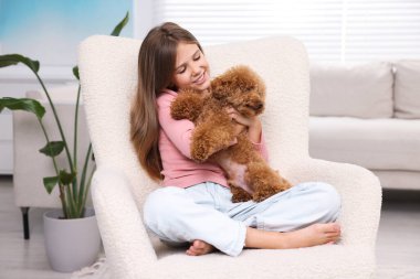 Evdeki koltukta şirin köpek yavrusu olan küçük bir çocuk. Sevimli hayvan