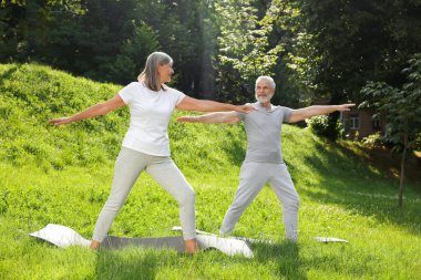 Yaşlı çift parkta yeşil çimlerde yoga yapıyor.