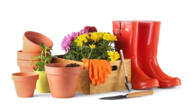 Güzel çiçekler, saksılar, lastik botlar ve beyaza izole edilmiş bahçe aletleri.