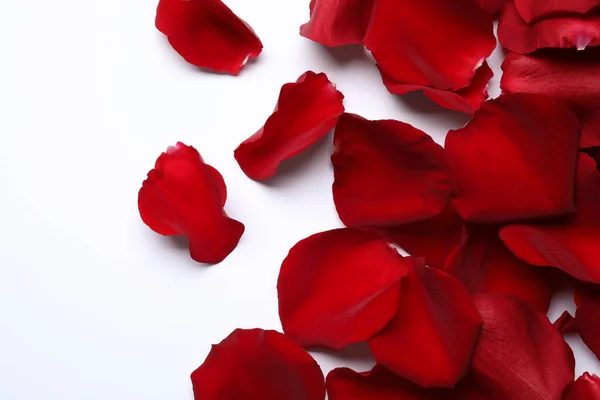 Όμορφα Κόκκινα Ροδοπέταλα Λευκό Φόντο Κορυφαία Άποψη — Φωτογραφία Αρχείου