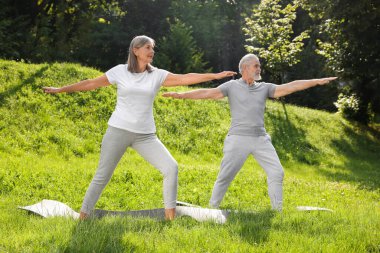 Yaşlı çift parkta yeşil çimlerde yoga yapıyor.
