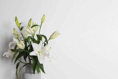 Beyaz arkaplanda vazoda güzel zambak çiçekleri, metin için boşluk