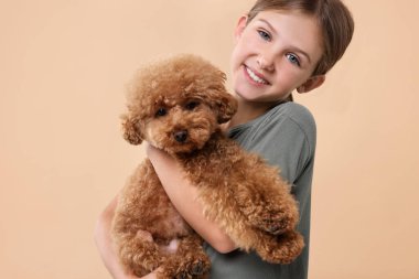 Bej arka planda şirin bir köpek yavrusu. Sevimli hayvan