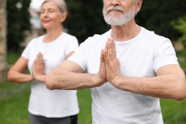 Yaşlı çift parkta yoga yapıyor, seçici odaklanma.