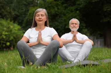 Yaşlı çift parkta yeşil çimlerde yoga yapıyor, seçici odaklanma.
