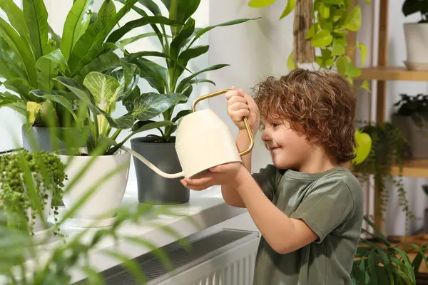 Bonito Menino Molhando Bela Planta Verde Peitoril Janela Casa Decoração — Fotografia de Stock