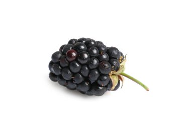 One tasty ripe blackberry isolated on white
