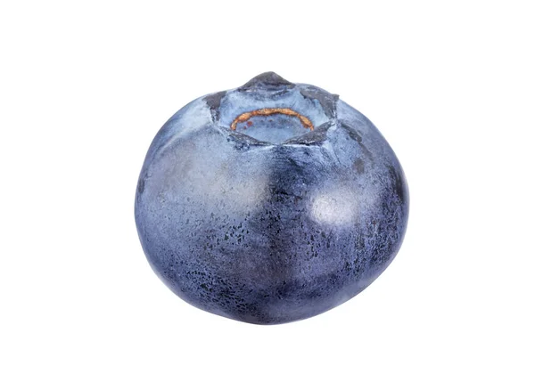 Satu Blueberry Matang Segar Terisolasi Atas Putih — Stok Foto