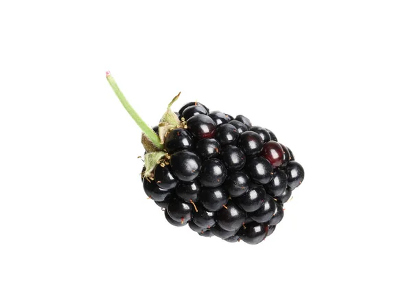 One Tasty Ripe Blackberry Isolated White — Zdjęcie stockowe