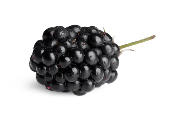 One Tasty Ripe Blackberry Isolated White — 스톡 사진