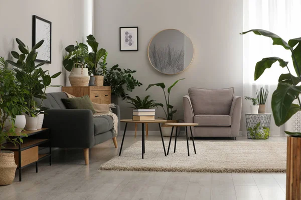 Sala Estar Con Muebles Elegantes Hermosas Plantas Interior Diseño Interiores — Foto de Stock