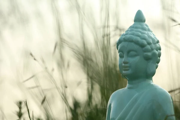 Декоративная Статуя Будды Зеленой Траве Открытом Воздухе Крупный План Пространство — стоковое фото