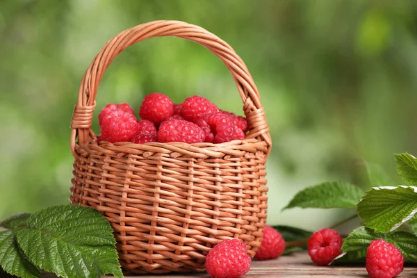 Wicker Basket Tasty Ripe Raspberries Leaves Wooden Table Blurred Green — Stock Photo, Image