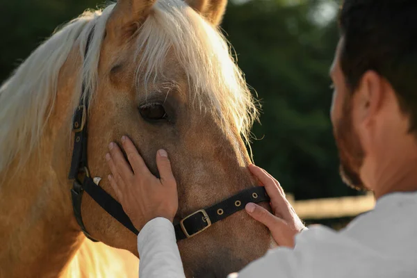 屋外で愛らしい馬を持った男 愛らしい家畜ペット — ストック写真