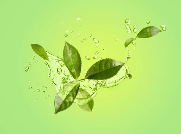 Spritzer Erfrischendes Getränk Mit Blättern Auf Blassgrünem Hintergrund Grüner Oder — Stockfoto