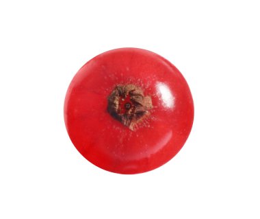 Bir olgun kırmızı frenk üzümü beyaza izole edilmiş.