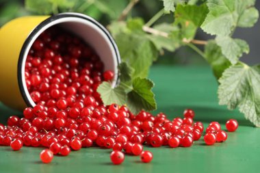 Bir sürü olgun kırmızı frenk üzümü, kupa ve yapraklar yeşil ahşap masada.