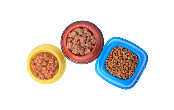 Alimenti Animali Domestici Secchi Bagnati Ciotole Isolate Bianco Vista Dall — Foto Stock