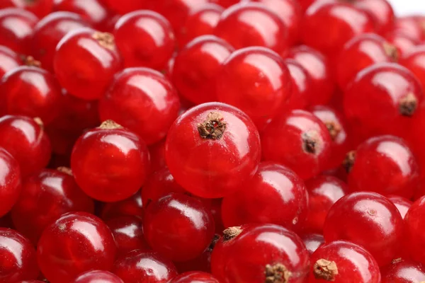 Viele Leckere Frische Rote Johannisbeeren Als Hintergrund Nahaufnahme — Stockfoto