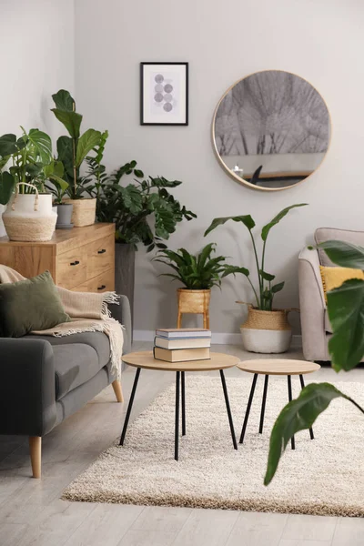 Sala Estar Con Muebles Elegantes Hermosas Plantas Interior Diseño Interiores — Foto de Stock