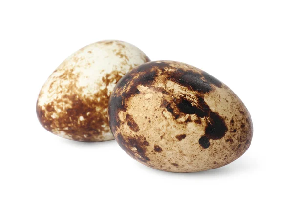 Beautiful Speckled Quail Eggs White Background — Stock Photo, Image