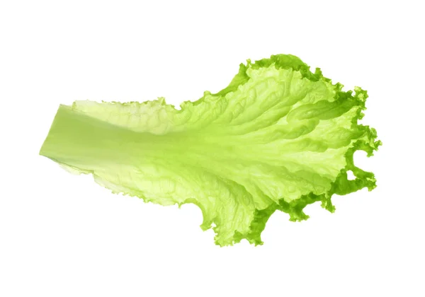 Une Feuille Laitue Verte Isolée Sur Blanc Verts Salade — Photo