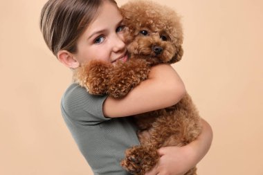 Bej arka planda şirin bir köpek yavrusu. Sevimli hayvan