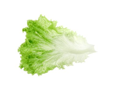 Beyaza izole edilmiş bir yeşil marul yaprağı. Salata yeşili.