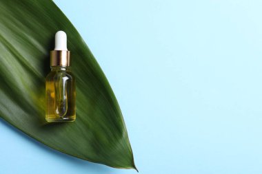 Açık mavi arka planda kozmetik yağlı ve yaprak kaplı bir şişe. Metin için boşluk