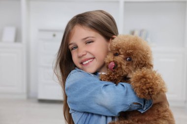 Evinde şirin bir köpek yavrusu olan küçük bir çocuk. Sevimli hayvan