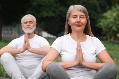 Yaşlı çift parkta yoga yapıyor, seçici odaklanma.