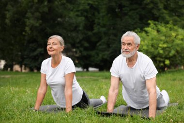 Yaşlı çift parkta yeşil çimlerde yoga yapıyor.
