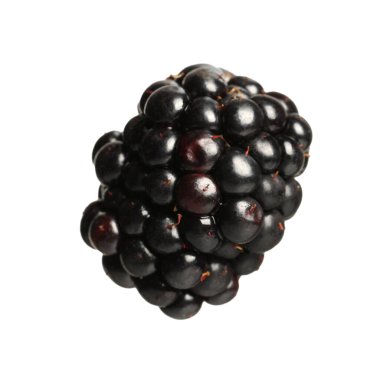 One tasty ripe blackberry isolated on white