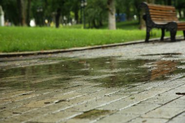 Parkın asfalt yolundaki yağmur suyu birikintisi