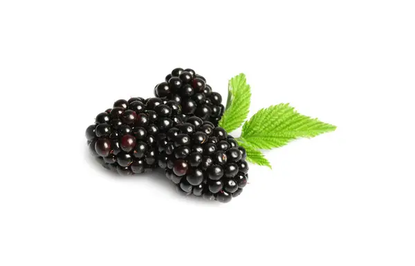 口感成熟的黑莓和绿叶在白色上隔离 — 图库照片