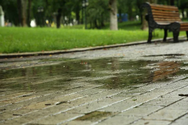 Charco Agua Lluvia Camino Pavimentado Parque —  Fotos de Stock