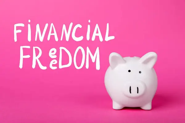 Palavras Financial Freedom Piggy Bank Fundo Rosa — Fotografia de Stock