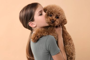 Bej arka planda şirin bir köpek yavrusu. Sevimli hayvan