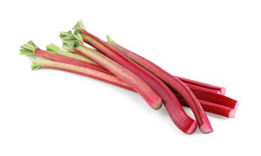 Beyazlar üzerinde izole edilmiş taze ravent sapları.