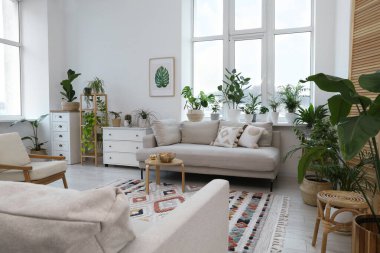 Rahat kanepesi, koltuğu ve güzel çiçekleri olan şık bir oda. İç tasarım