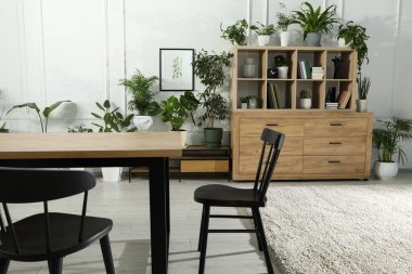 Sandalyeli masa, ahşap raf ünitesi, kitaplar ve şık bir odada bir sürü saksı bitkisi.