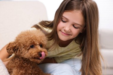 Koltuğunda şirin bir köpek yavrusu olan küçük bir çocuk. Sevimli hayvan