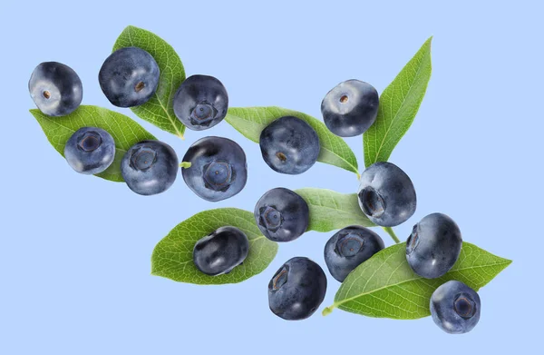 Many Ripe Blueberries Green Leaves Falling Light Blue Background — Stock Photo, Image