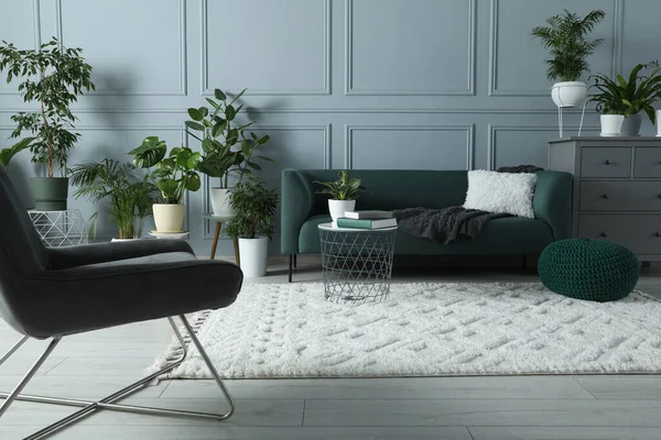 Schönes Zimmer Mit Vielen Topfpflanzen Und Stilvollen Möbeln — Stockfoto