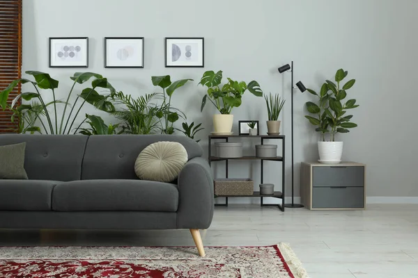 Acogedor Interior Habitación Con Muebles Elegantes Plantas Interior Elementos Decoración — Foto de Stock