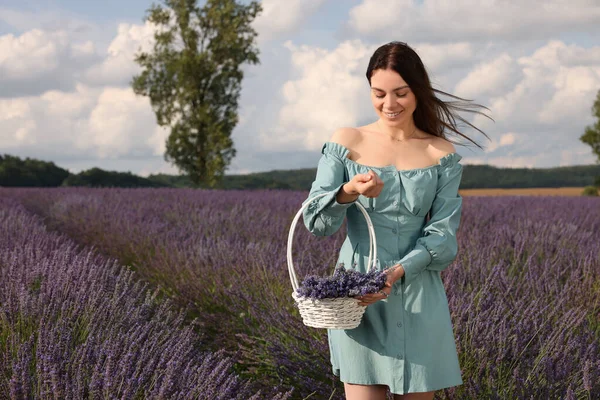 Glimlachende Vrouw Met Mand Lavendelveld Ruimte Voor Tekst — Stockfoto