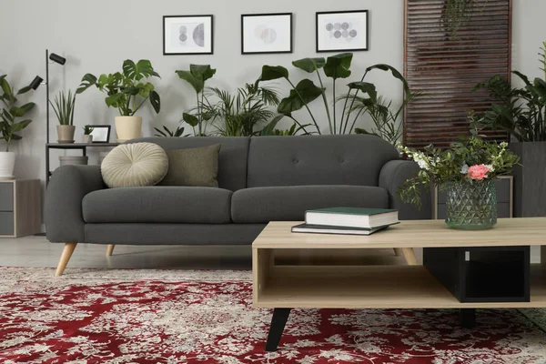 Cozy Room Interior Stylish Furniture Houseplants Decor Elements — Stock Photo, Image