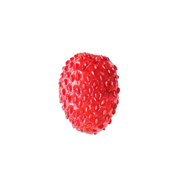 Căpșună Sălbatică Coaptă Izolată Alb — Fotografie, imagine de stoc
