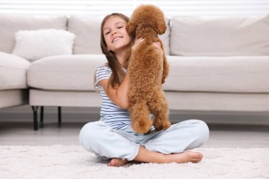 Evde halı üzerinde şirin köpek yavrusu olan küçük bir çocuk. Sevimli hayvan