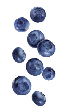 Birçok olgun yaban mersini beyaz arka plana düşüyor